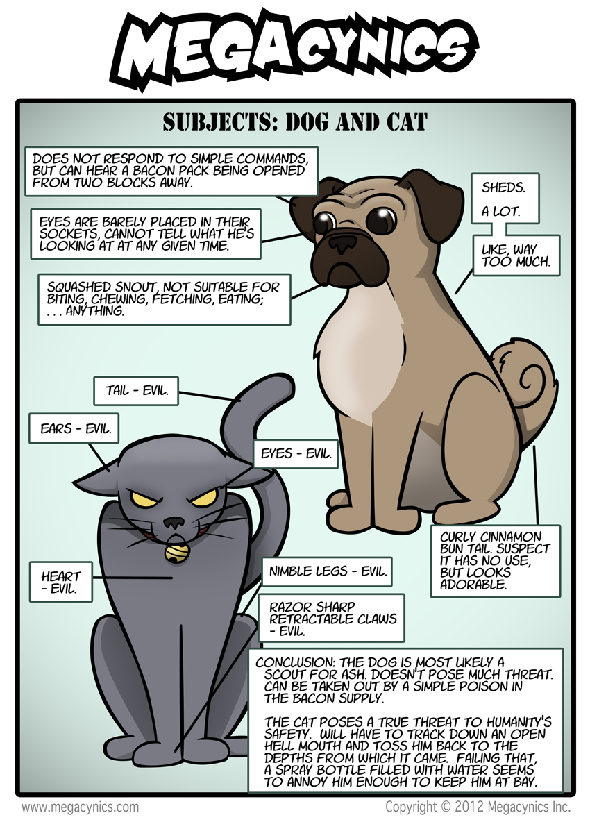 MegaCynics: Subject: Dog and Cat (Nov 30, 2012)