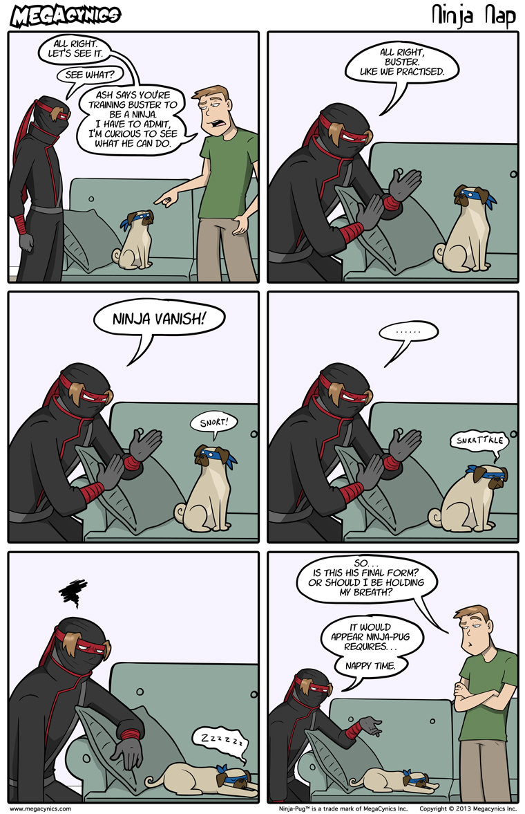 MegaCynics: Ninja Nap (Jul 19, 2013)